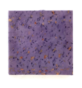 image Bois de Campêche, 2022