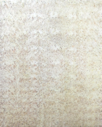 image Coquelicots, 2025