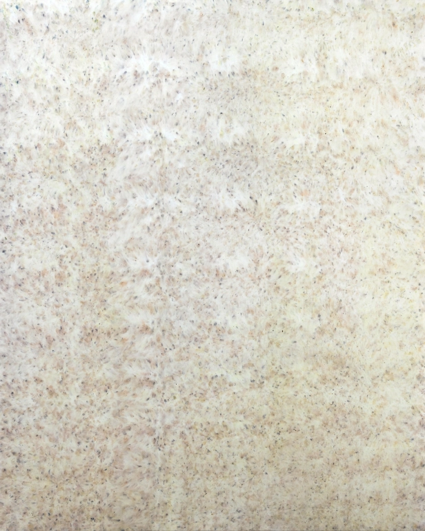 œuvre: Coquelicots, 2025 - Alice Magne