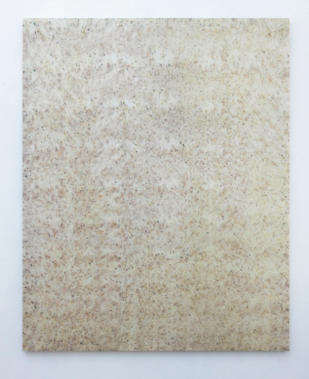 œuvre: Coquelicots, 2025 - Alice Magne