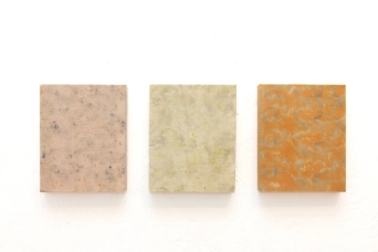 image Garance/Cosmos, 2025