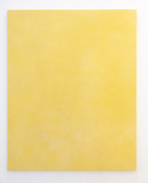 œuvre: Jaune Réséda 2, 2025 - Alice Magne