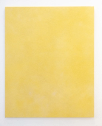 image Jaune Réséda 2, 2025