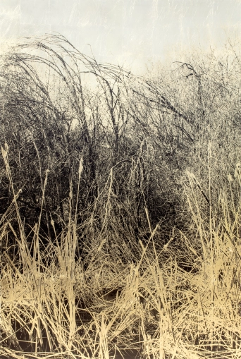 image Knoten, 2019