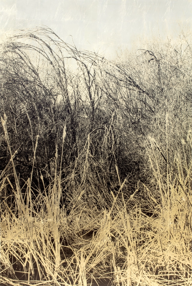 œuvre: Knoten, 2019  - Paula Anta