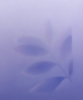 image L'air délavé par la pluie, 2024