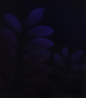 image Les l&egrave;vres bleuies, 2025