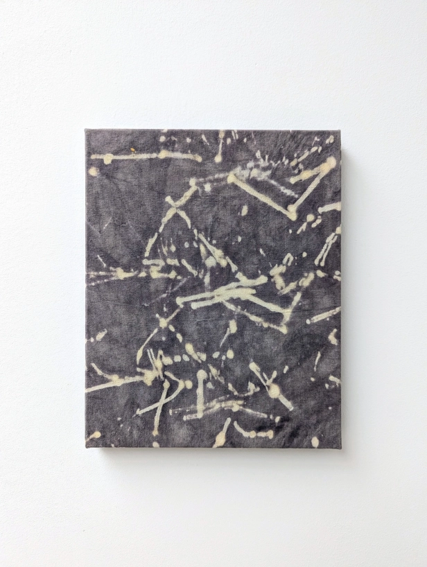 œuvre: Noix de Galle/Oxalis, 2024 - Alice Magne