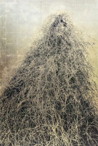 image Nudos, 2019