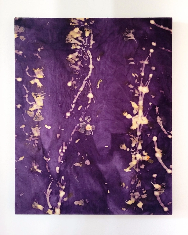 œuvre: Oxalis/Campêche 2, 2023 - Alice Magne