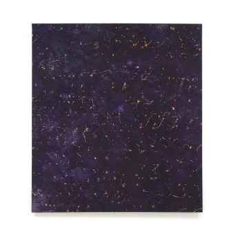 image Oxalis/Campêche, 2023
