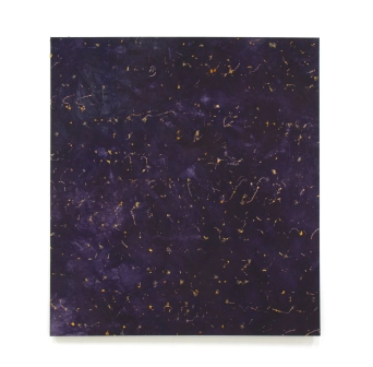image Oxalis/Campêche, 2023