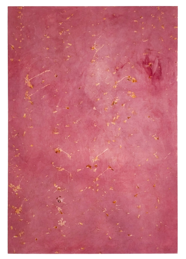 œuvre: Oxalis/Garance 2, 2024 - Alice Magne