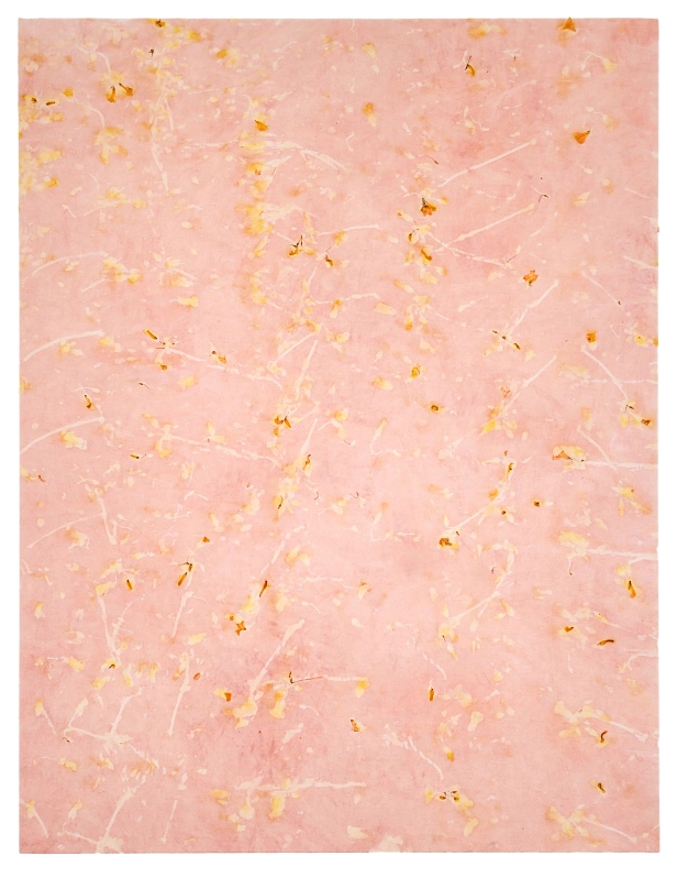 œuvre: Oxalis/Garance, 2024 - Alice Magne