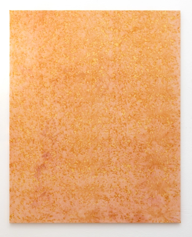 œuvre: Oxalis/Garance 3, 2025 - Alice Magne