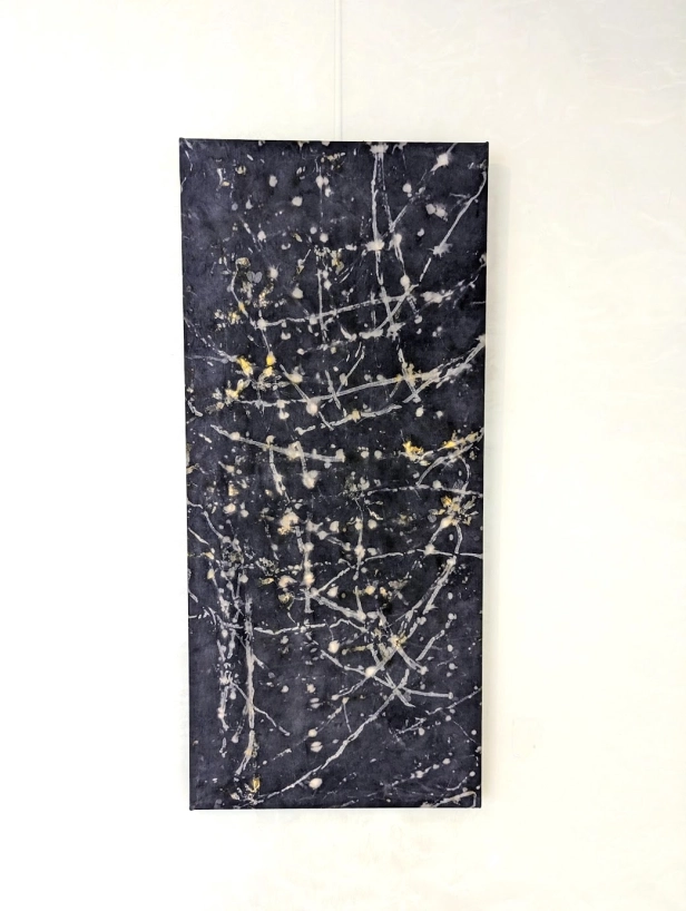 œuvre: Oxalis/Noix de Galle, 2024 - Alice Magne