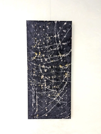 image Oxalis/Noix de Galle, 2024