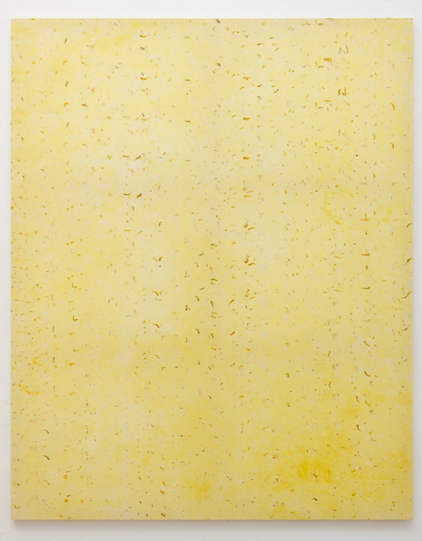 œuvre: Réséda et Œillet d'Inde, 2025 - Alice Magne