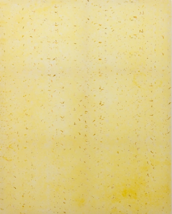 image R&eacute;s&eacute;da et &OElig;illet d'Inde, 2025