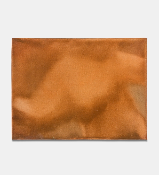 œuvre: Torse, 2025 - Claudio Coltorti