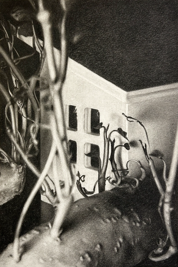 œuvre: Untitled II, 2025 - Mishiho Fukuhama