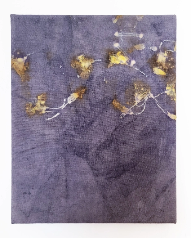 œuvre: Zip Oxalis/Noix de Galle 2, 2024 - Alice Magne